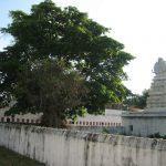4563266528_da8e69666a_b, Kandhaswamy Temple, Cheyyur, Kanchipuram