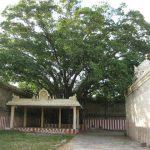 5019849128_5a85fcfaac_b, Vadaranyeswarar Temple, Thiruvalangadu, Tiruvallur