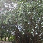 5214575544_60e64c276d_b, Dhandayuthapani Murugan Temple, Nadu Palani, Kanchipuram