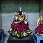 Thaayar, Lakshmi Narasimhar Temple, Maraimalai Nagar, Kanchipuram