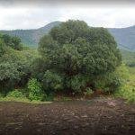 564565476, Thirunanthikarai Cave Temple, Kanyakumari