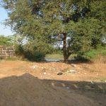 5751083068_eaf8151877_b, Thiruthaleeshwarar Temple, Aranvoyal, Thiruvallur