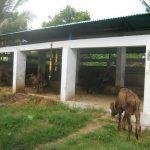 6108277611_e1b8fedcf4_b, Vaikuntha Perumal Temple, Mangadu, Chennai