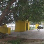 6333991925_49b3c3d9e5_b, Ottiampakkam Otteeswarar Temple, Kanchipuram