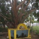 6333992567_aa769d2639_b, Ottiampakkam Otteeswarar Temple, Kanchipuram