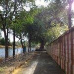 65464564566543, Raghaveswarar Temple, Derisanamcope, Kanyakumari