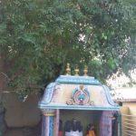 656546456456, Alarmatheeswarar Temple, Alamathi, Thiruvallur