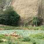 65765765736, Veda Narayana Perumal Temple, Kodikulam, Madurai