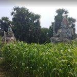 657657686, Pachai Amman Temple, Pullambadi, Trichy