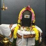 6576578, Shiva Kozhundeeswarar Temple, Kozhumanivakkam, Mangadu, Chennai