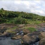 676575, Saptha Mathargal Devi Temple, Aruvikarai, Thiruvattaru, Kanyakumari