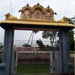 6768765877, Veerattaneswarar Thiruvathigai Temple, Panruti, Cuddalore,