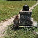 6786878779, Pachai Amman Temple, Pullambadi, Trichy