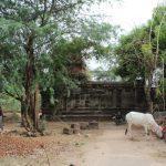 7384548404_f073926eee_k, Kariamanicka Varadharaja Perumal Temple, Thiruvur, Thiruvallur