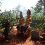 76667676, Saneeswarar Navagraha Temple, Moratandi, Villupuram