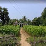 768768769879, Pachai Amman Temple, Pullambadi, Trichy