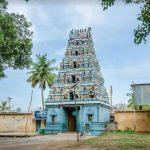 768969870, Theerthapureeswarar Temple, Thirunelvayil Arathurai, Cuddalore