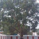 787876876876, Agastheeshwarar Temple, Pozhichalur, Chennai