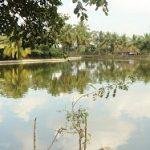 8284293126_c56e09843a_h, Kalyanasundareswarar Temple, Tiruvelvikudi, Nagapattinam