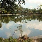 8284316238_213c58dac3_k, Kalyanasundareswarar Temple, Tiruvelvikudi, Nagapattinam