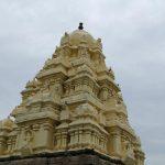 9530932462_eb2f8dcffb_h, Lakshmi Narasimhaswamy Temple, Sevilimedu, Kanchipuram