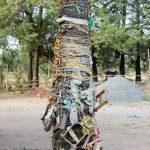 970347_418470011600825_1678473824_n