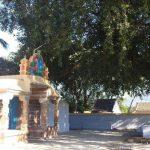 9887579879, Raghaveswarar Temple, Derisanamcope, Kanyakumari