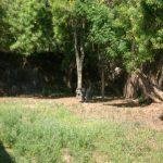 CIMG2287, Kameswarar Temple, Madavilagam, Kanchipuram