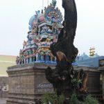 Comp-6.jpg_1478678137753, Vilvanatheswarar Temple, Thiruvalam, Vellore