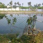 DSC03106, Ottiampakkam Otteeswarar Temple, Kanchipuram