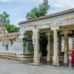 _DSC6803-Pennadam, Sudarkozhundeesar Pralayakaleswarar Temple, Pennadam, Cuddalore