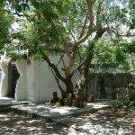 DSCN4069, Thiruvalluvar Temple, Mylapore, Chennai