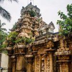 DSC_0524, Alanthurai Nathar Temple, Thirpullamangai