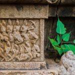 DSC_0536, Alanthurai Nathar Temple, Thirpullamangai