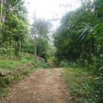 File0253, Kalimala Durgadevi Temple, Pathukani, Kanyakumari
