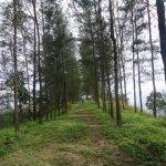 File0307, Kalimala Durgadevi Temple, Pathukani, Kanyakumari