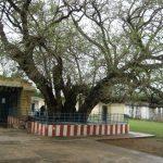 IMG_0423, Nootreteeswarar Temple, Chinnakavanam, Thiruvallur