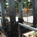 IMG_0838, Nandeeswarar Temple, Nandivaram, Guduvanchery, Kanchipuram