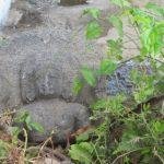 IMG_0892, Pasupatheeswarar Temple, Allur, Trichy