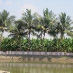 IMG_0935, Pasupatheeswarar Temple, Allur, Trichy