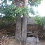 IMG_1878, Nandeeswarar Temple, Nandivaram, Guduvanchery, Kanchipuram