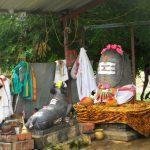 IMG_2443web, Sakthimutreeswarar Temple, Vayalanallur, Thiruvallur