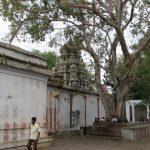 IMG_6538, Aappudayar Temple, Thiru Aappanoor, Sellur, Madurai