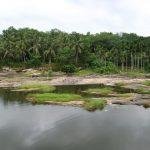 IMG_9790, Virabadhreswarar Temple, Thirparappu, Kanyakumari