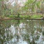 IMG_fgu0061, Thirunanthikarai Cave Temple, Kanyakumari