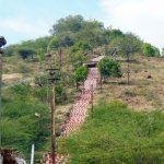 Karthigai Plan - SS Fotographs (15) (1)