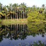 Kulikulam_in_sarel, Sudalai Maada Samy Temple, North Sarel, Kanyakumari