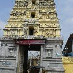Narayana_Perumal5, Thirumanimadam Narayanan Perumal Temple, Thirunangur, Nagapattinam