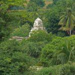 P1060770, Vadamalleeswarar Temple, Oragadam, Kanchipuram