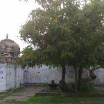 P_20160903_175017, Sivakkozhuntheswarar Temple, Theerthanagiri, Cuddalore